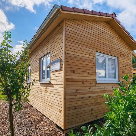 Tiny-Ferienhaeusle Casa Wendy Villa Lossburg Ngoại thất bức ảnh