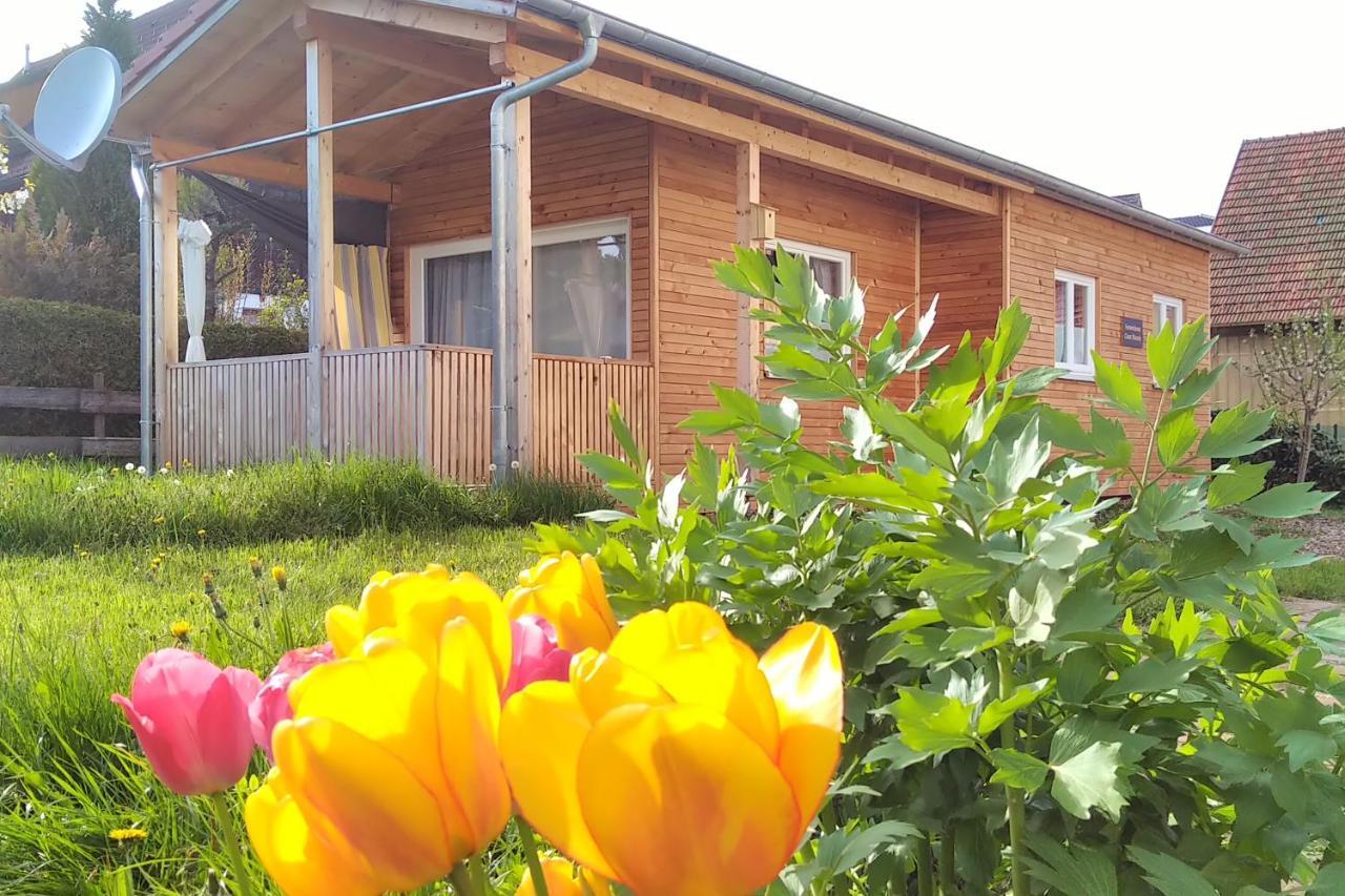 Tiny-Ferienhaeusle Casa Wendy Villa Lossburg Ngoại thất bức ảnh